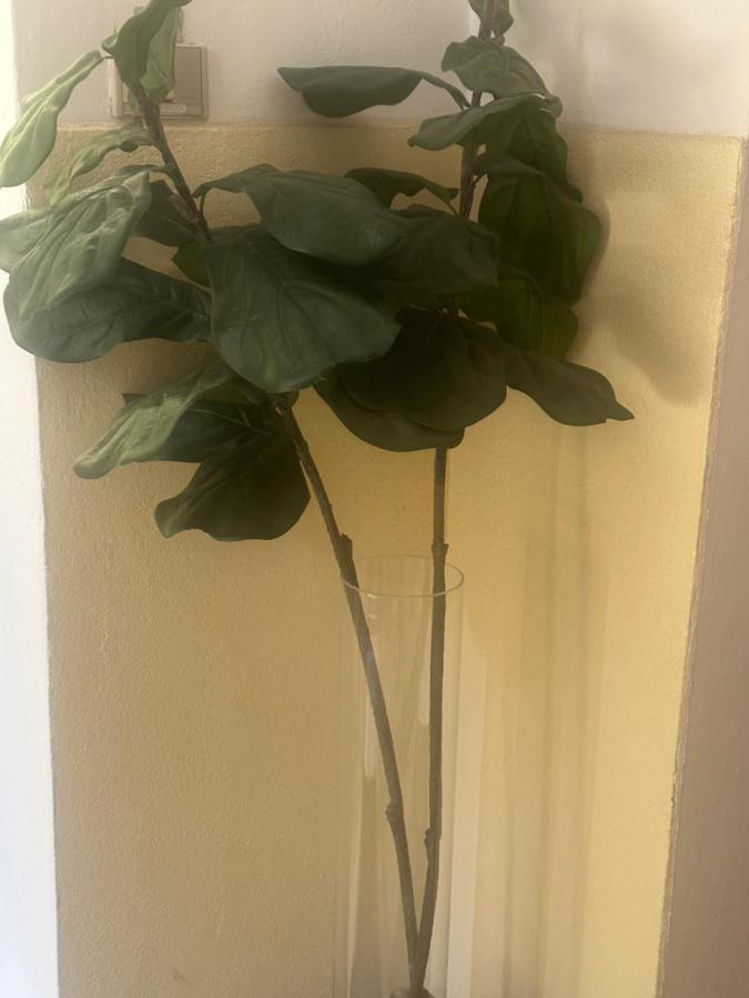 Rosa House Bolonia